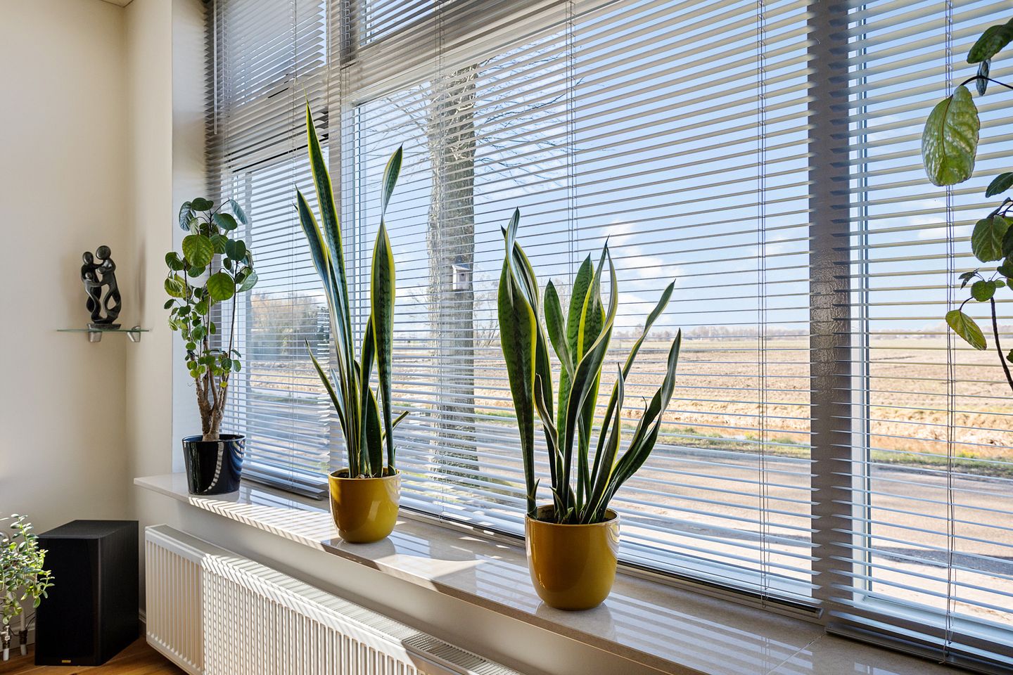 Foto 5 van Siepelveenwijk ZZ 114