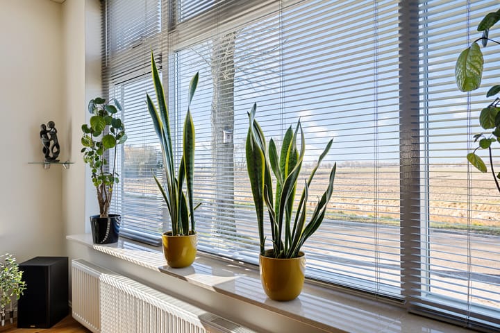 Foto 5 van Siepelveenwijk ZZ 114