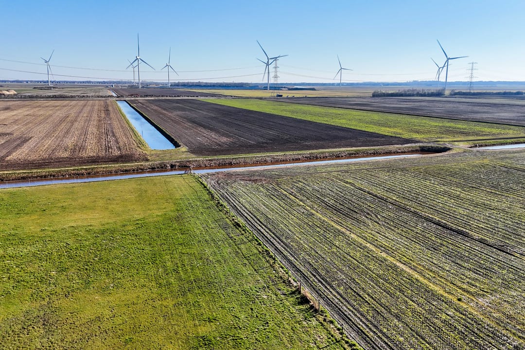 Foto 32 van Siepelveenwijk ZZ 114