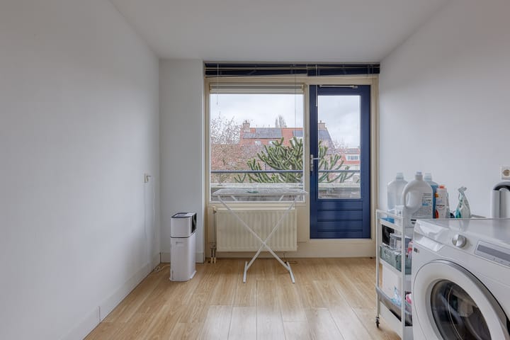 Foto 24 van Anemoon 8