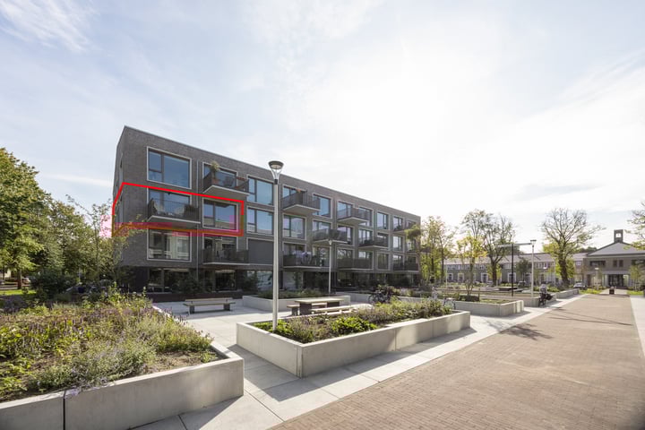 Zonnestad 55