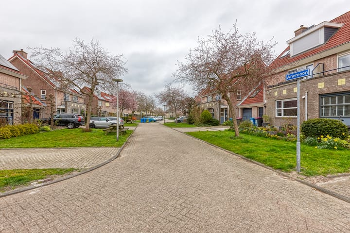 Foto 45 van Anemoon 8