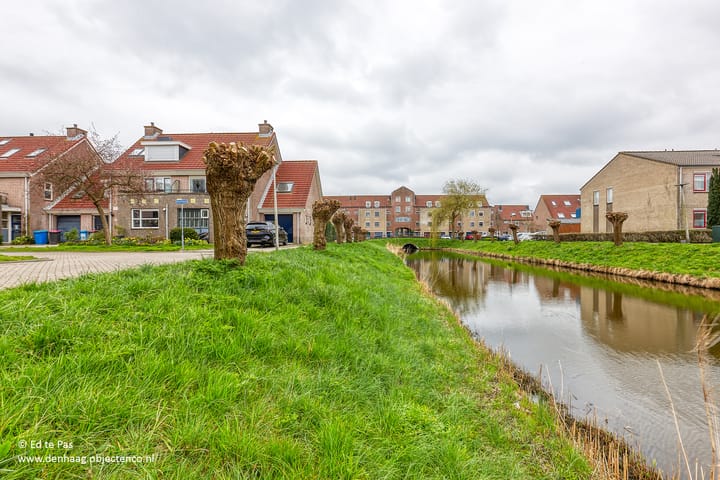 Foto 47 van Anemoon 8