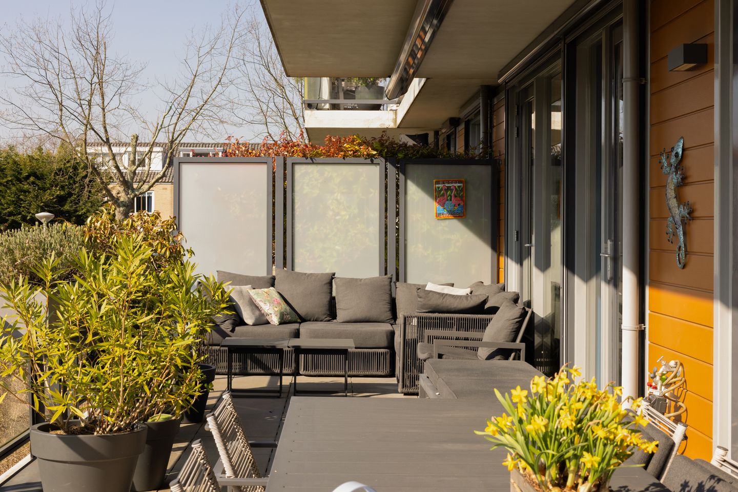 Foto 34 van Suze Groeneweglaan 95