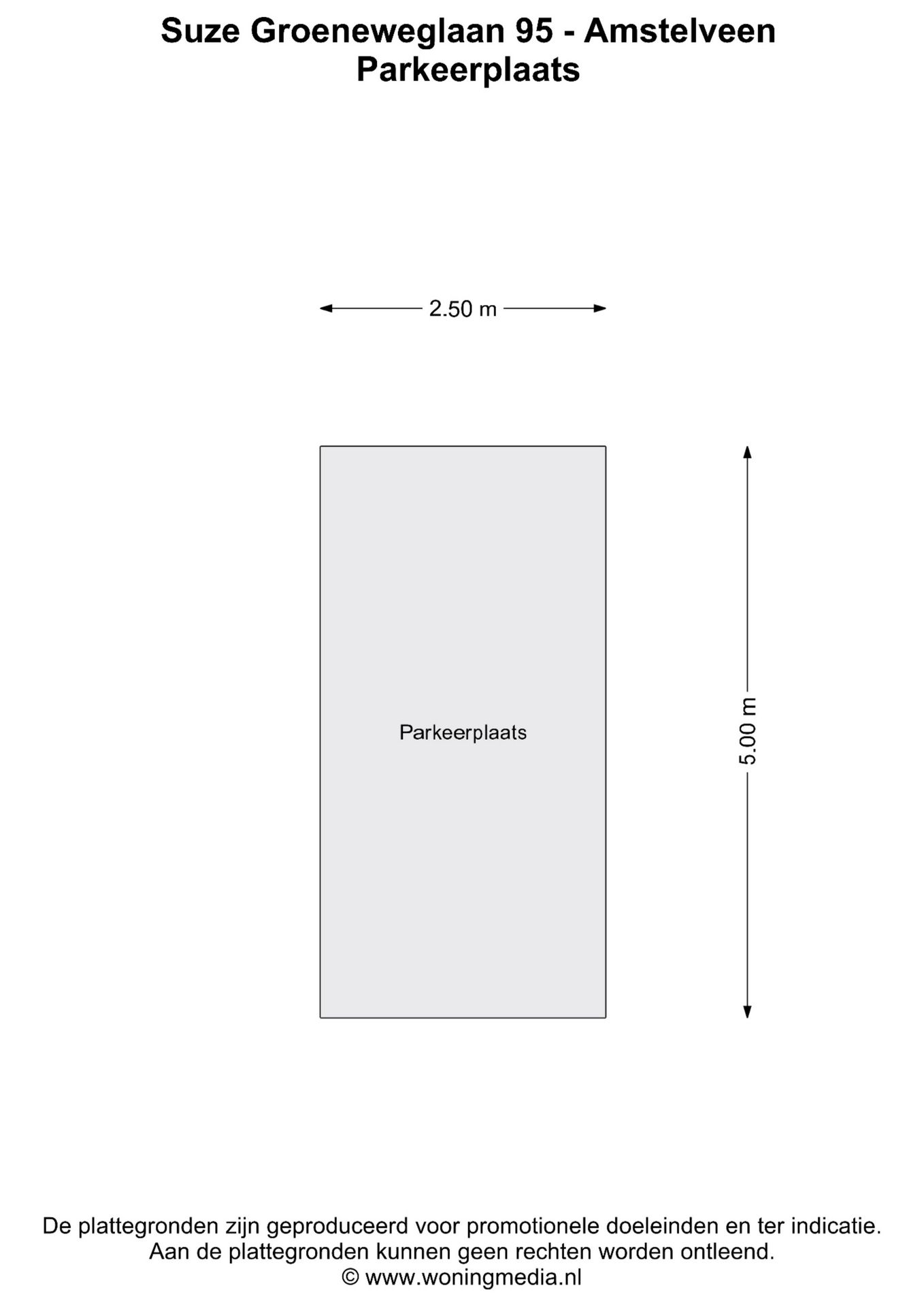 Foto 50 van Suze Groeneweglaan 95