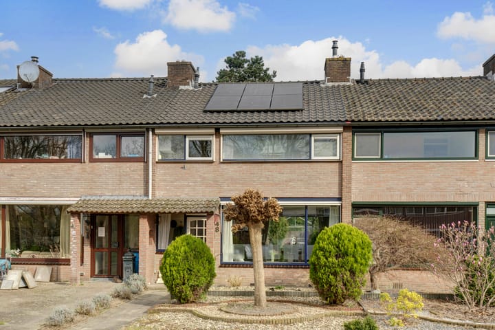 Foto 1 van Vogelplantsoen 48