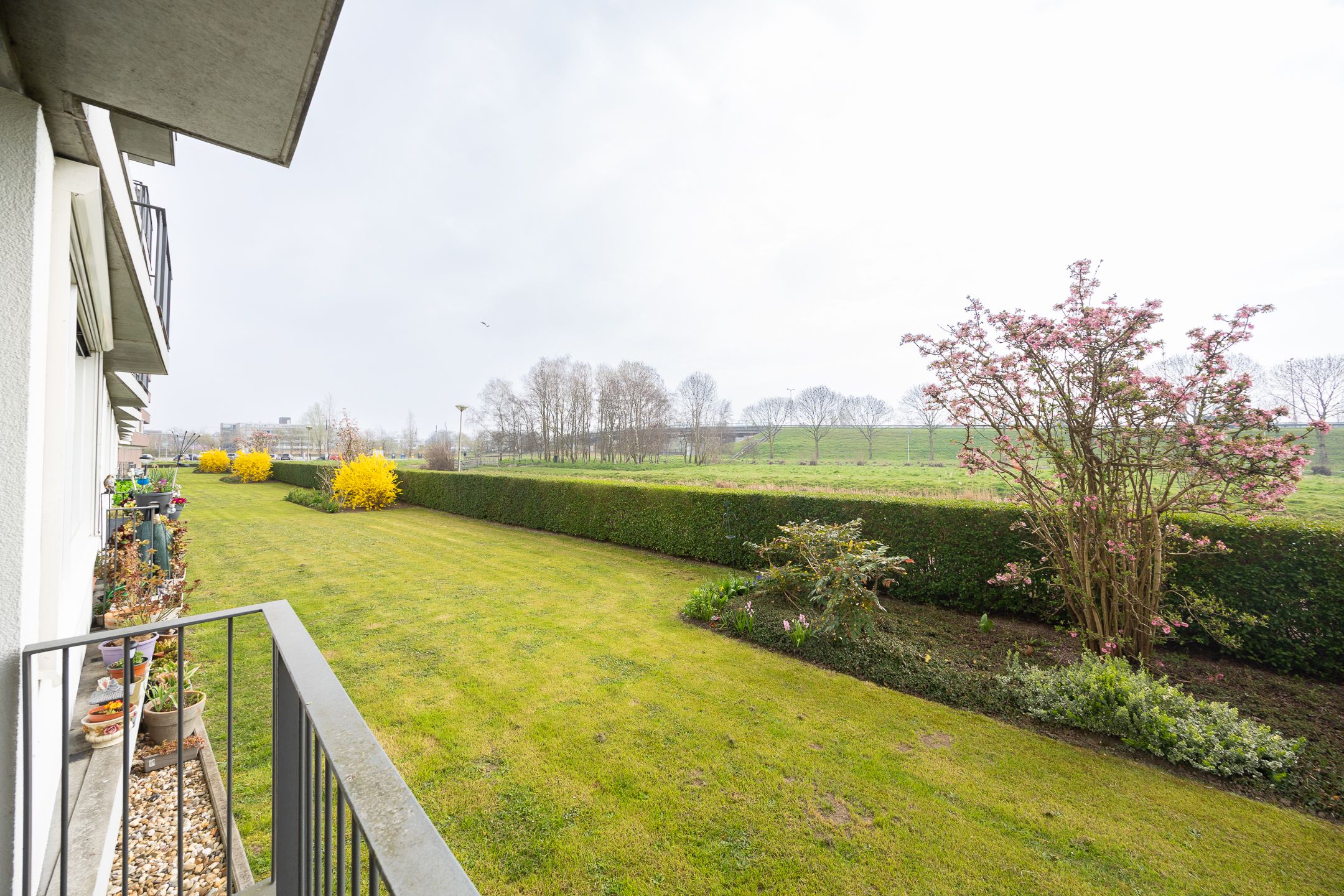 Photo 3 of Polderpeil 434