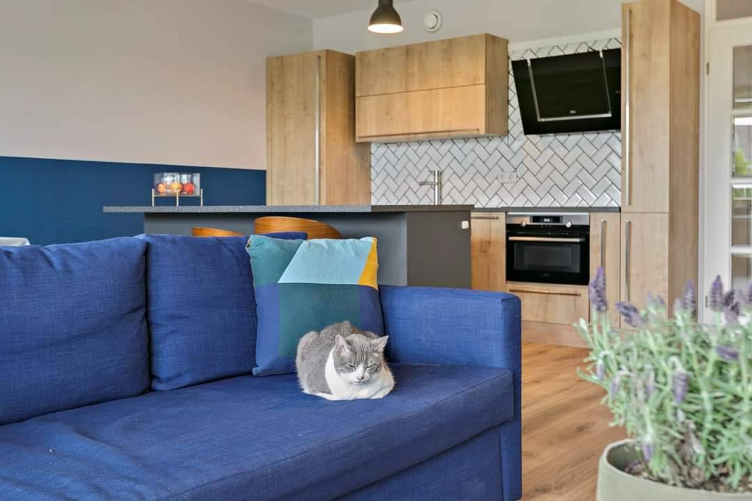 Foto 3 van Bomanshof 77