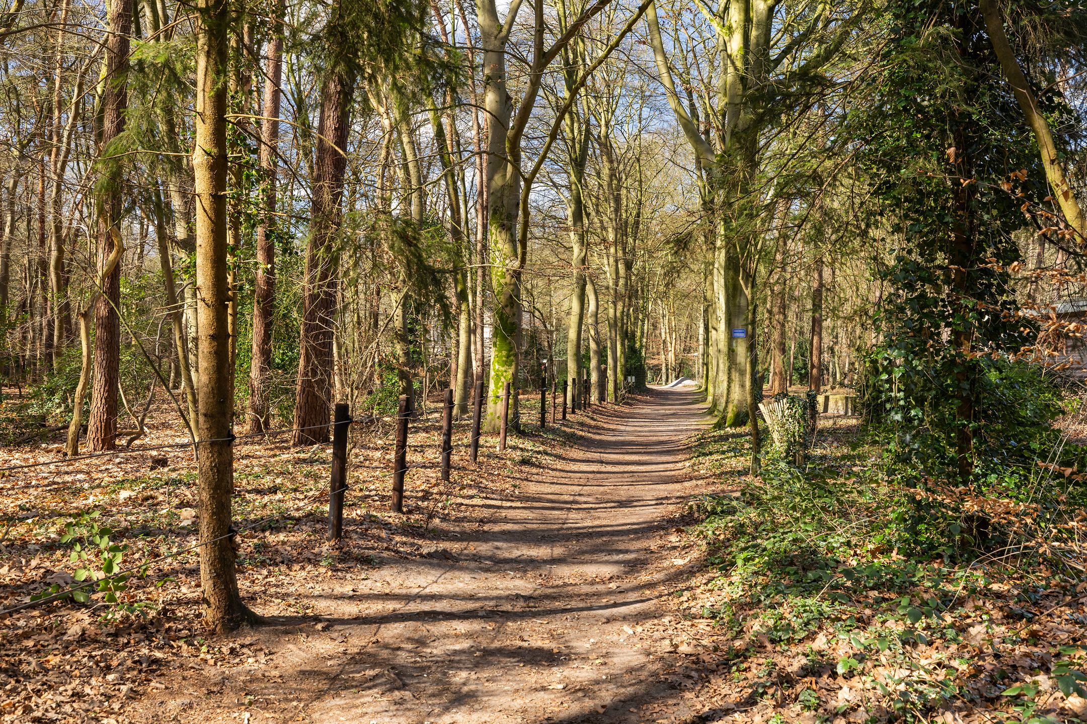 Photo 36 of Driebergsestraatweg 53