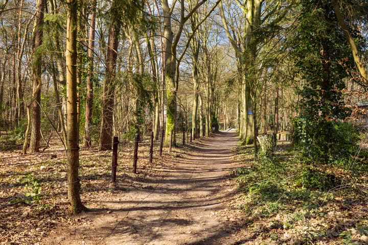 Foto 36 van Driebergsestraatweg 53