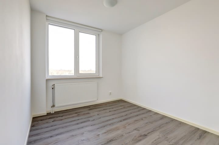 Foto 20 van Watermunt 166