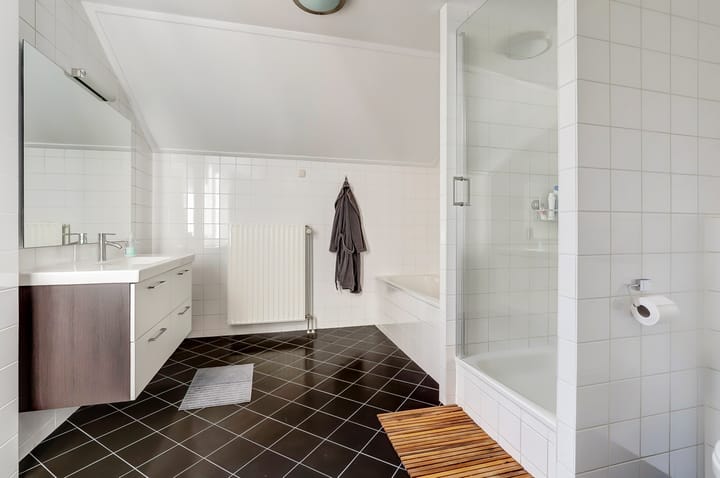 Foto 22 van Watermunt 166