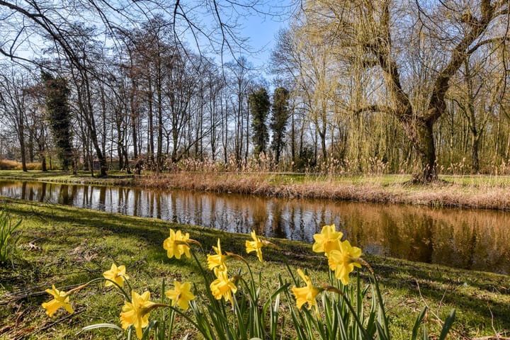 Foto 37 van Lindesingel 138