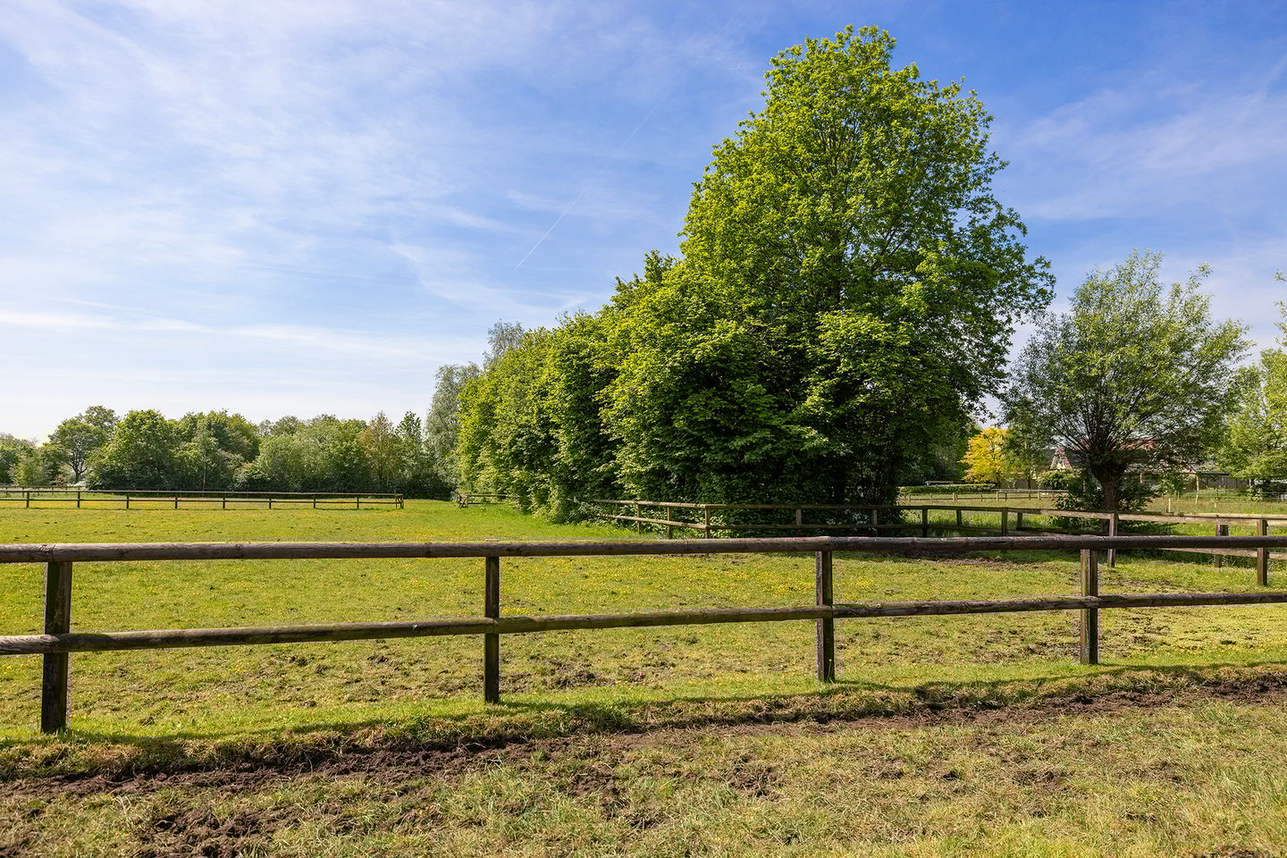 Foto 50 van Nieuwstraat 53