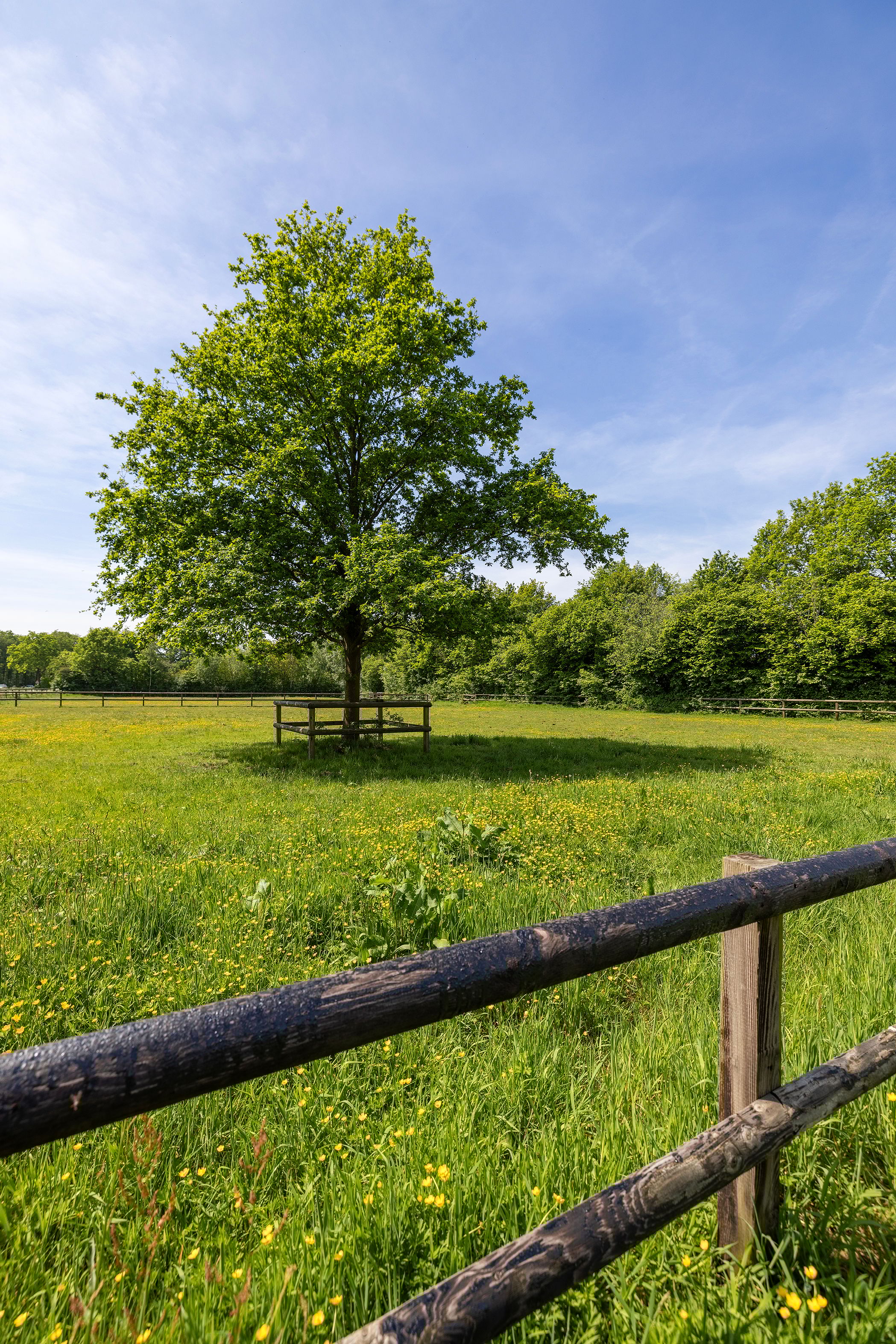 Foto 51 van Nieuwstraat 53