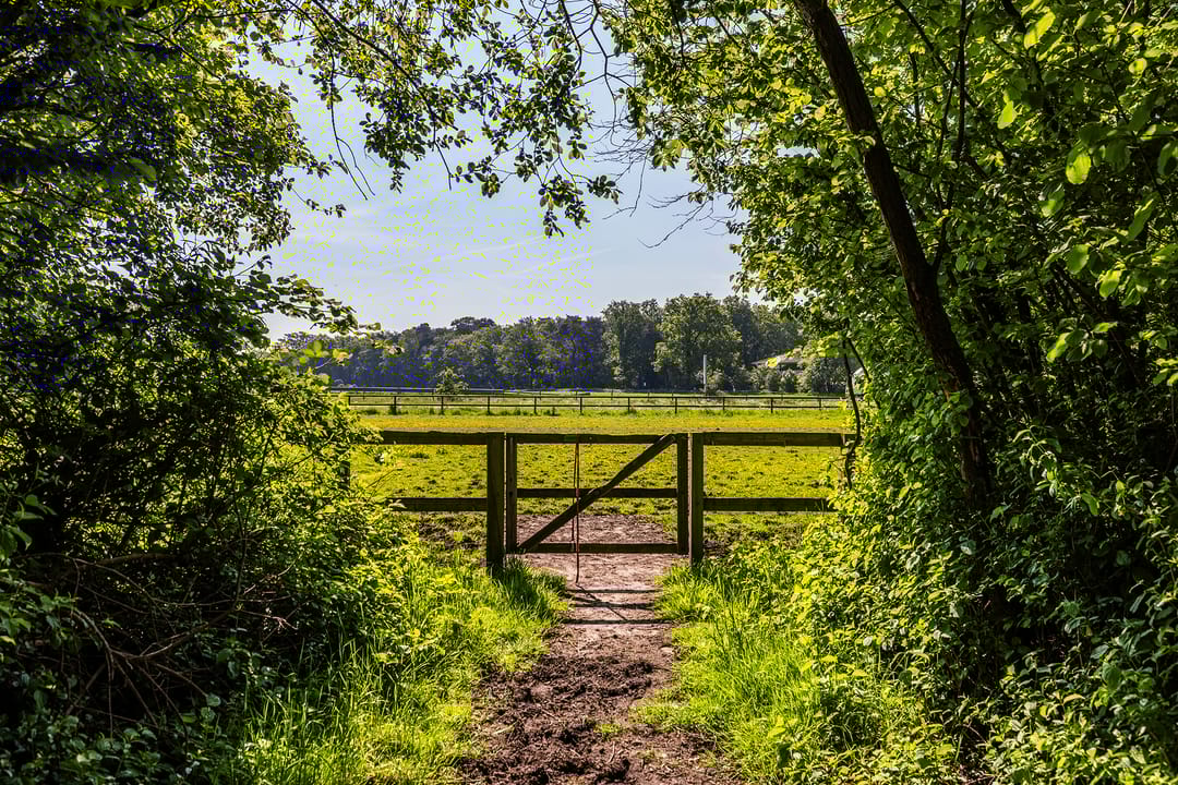 Foto 58 van Nieuwstraat 53