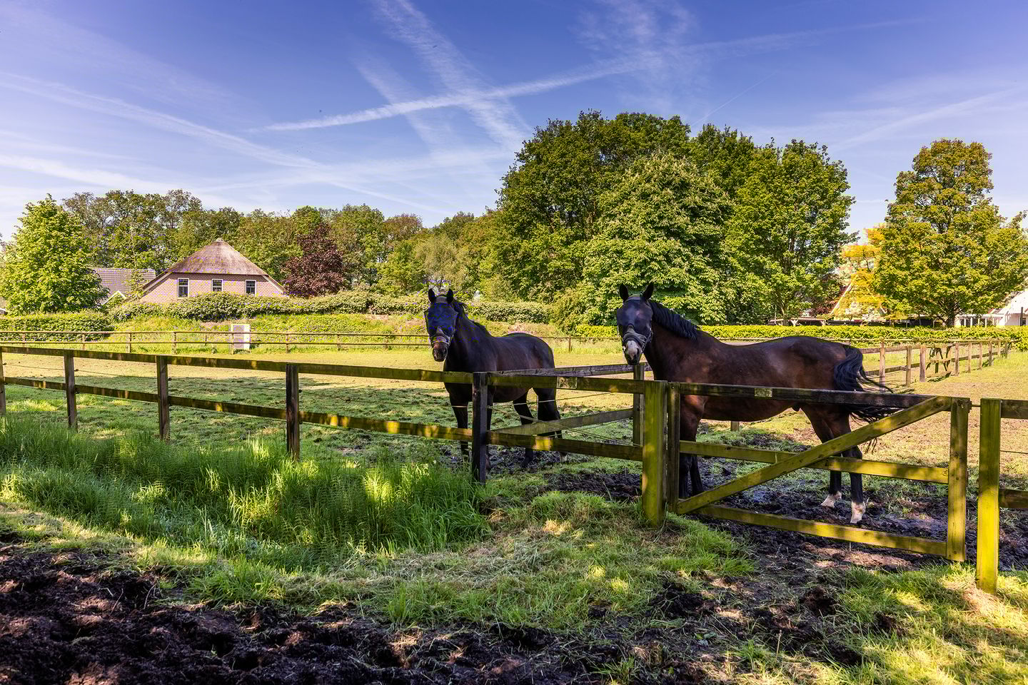 Foto 59 van Nieuwstraat 53