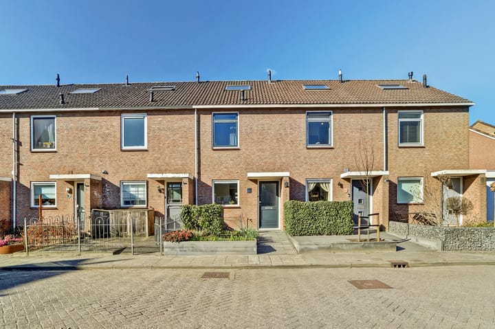undefined main image