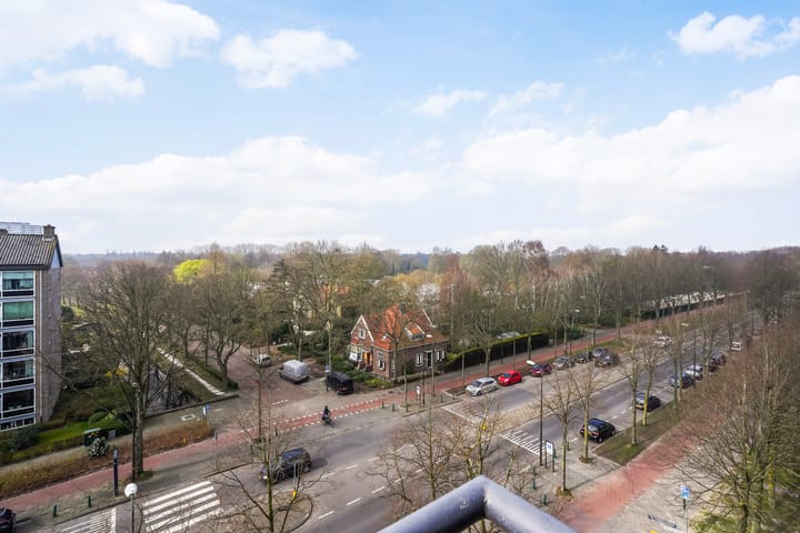 Foto 14 van Huis te Landelaan 15-F601