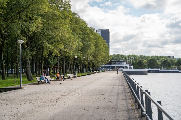 Foto 42 van Rinus Michelslaan 319