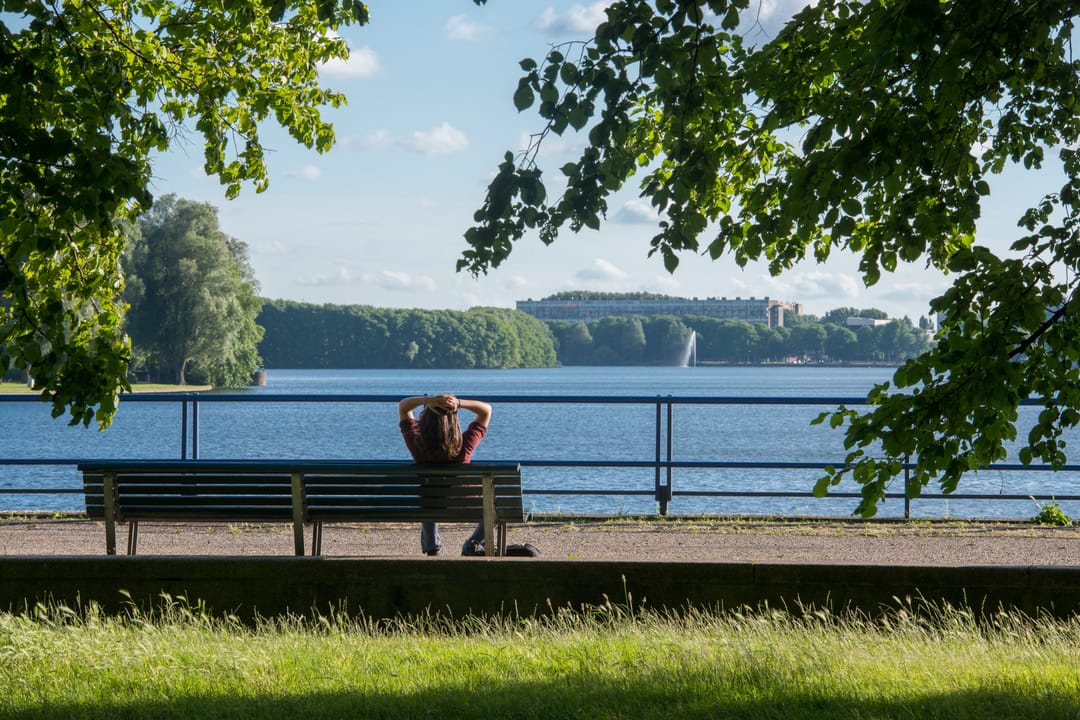 Foto 43 van Rinus Michelslaan 319