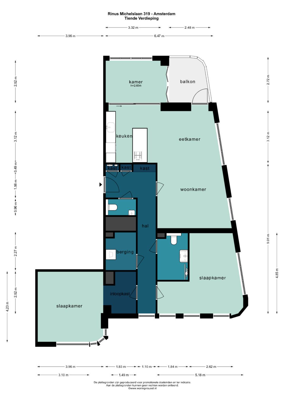 Foto 45 van Rinus Michelslaan 319