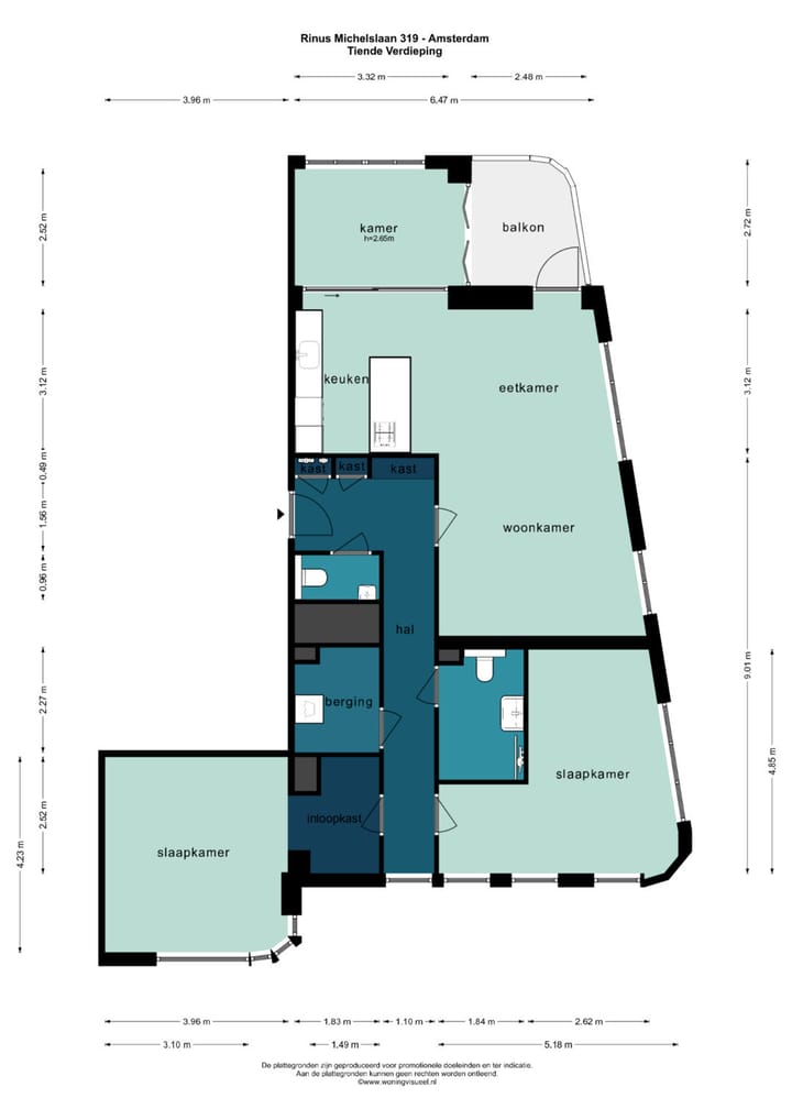 Foto 45 van Rinus Michelslaan 319