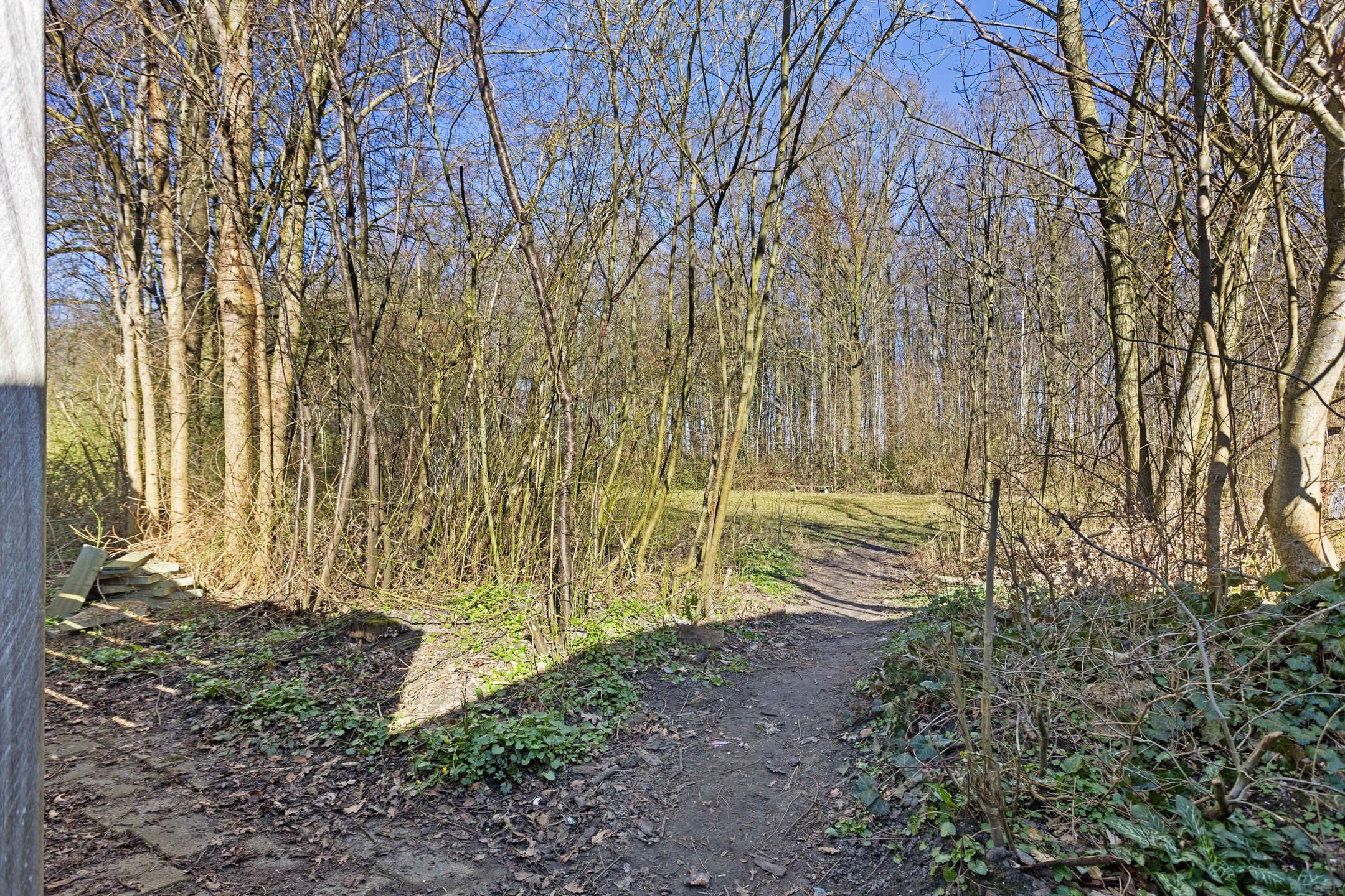 Foto 48 van Leliestraat 13