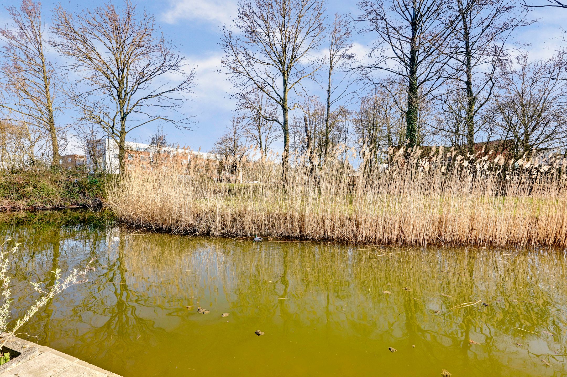 Foto 48 van Lentsenburg 90