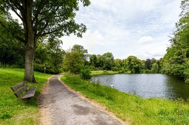 Foto 56 van Zijlweg 5