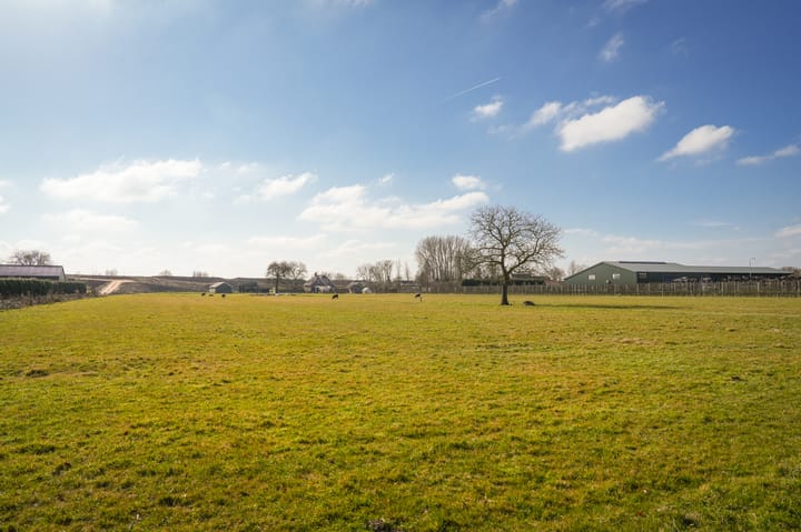 Foto 5 van Molenstraat 50