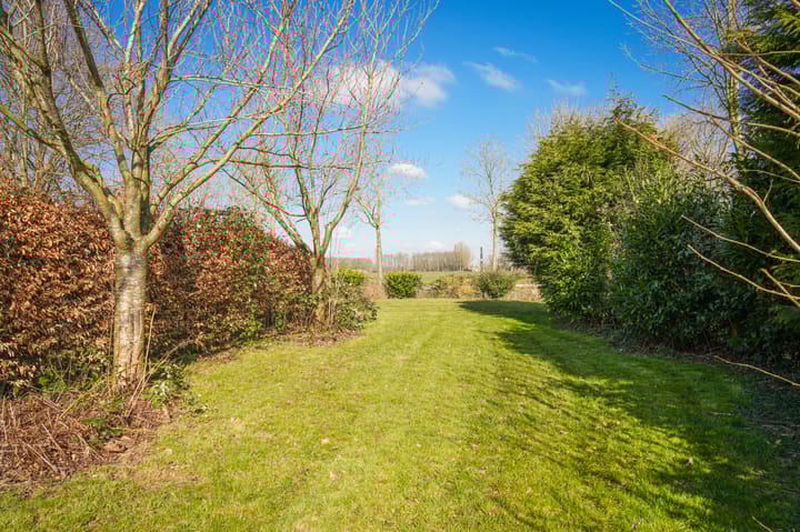 Foto 31 van Molenstraat 50