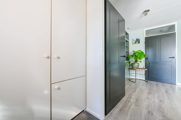 Foto 12 van Atalanta 67