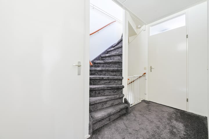 Foto 23 van Atalanta 67