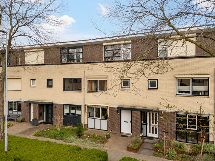 Foto 2 van Ien Dalessingel 253