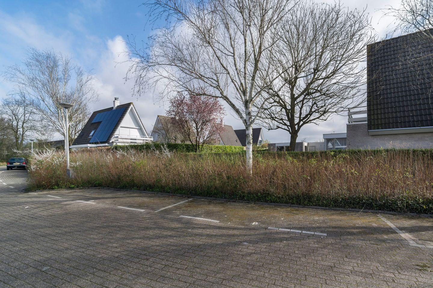 Foto 44 van Gruttoberg 4