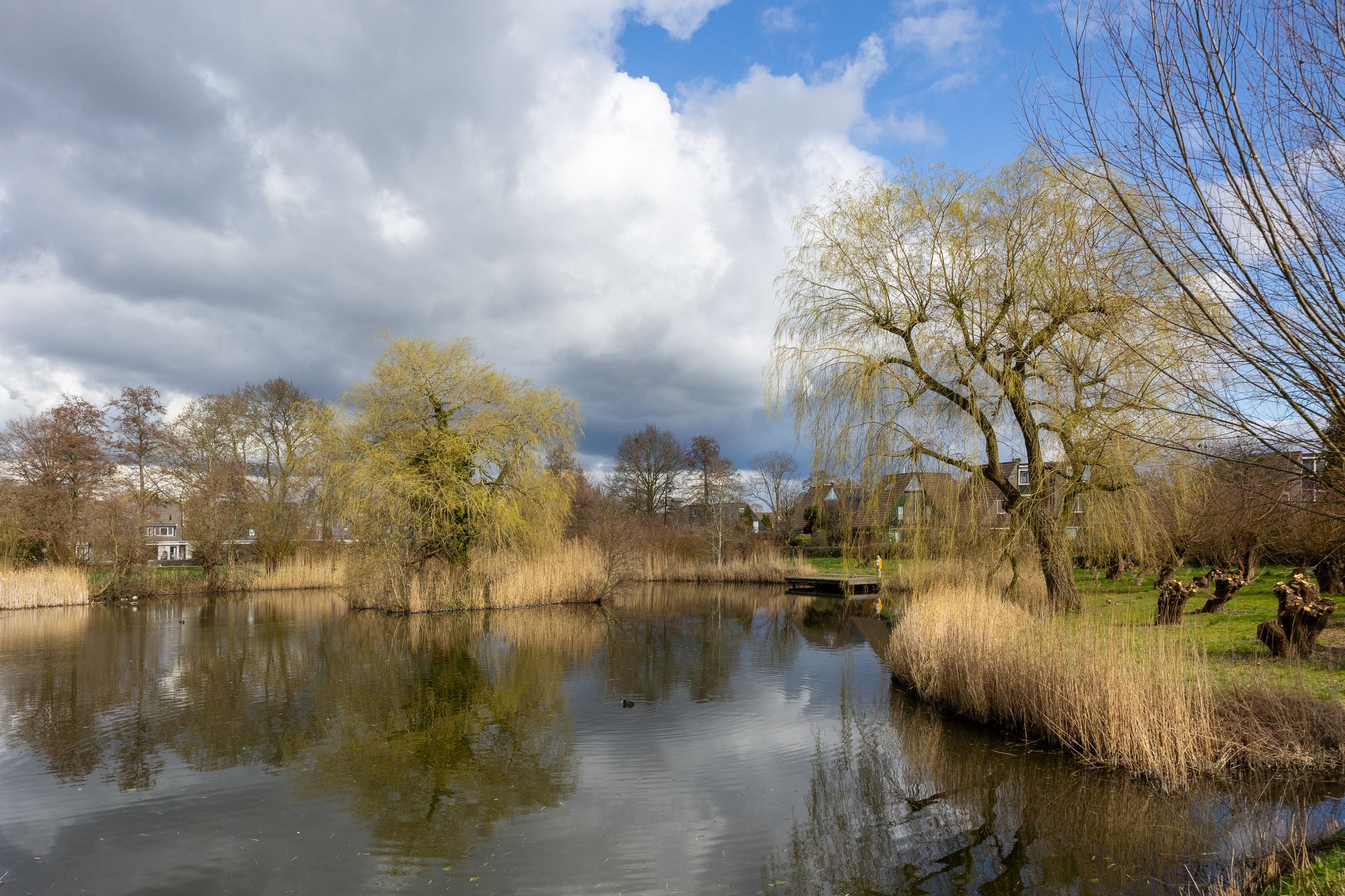 Foto 48 van Bergeend 9