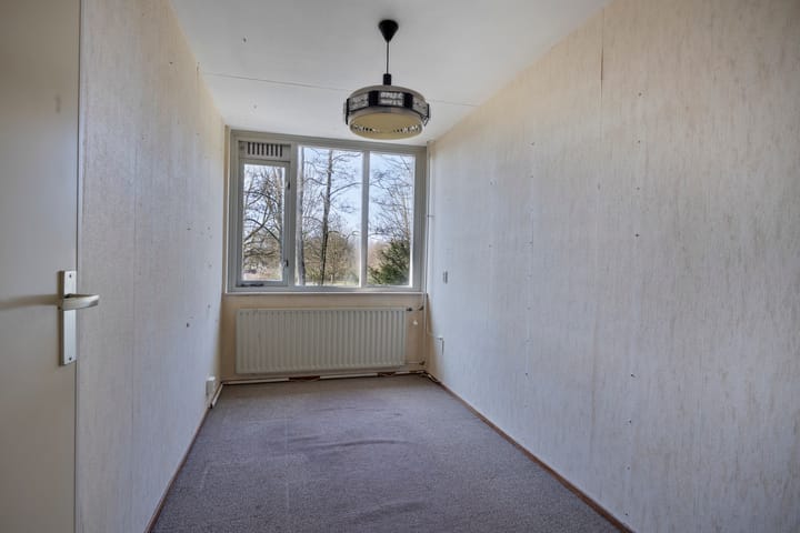 Foto 16 van Hunze 16