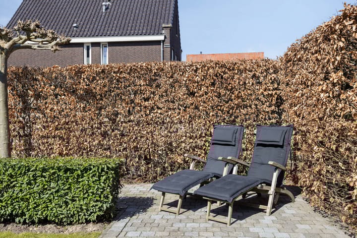 Foto 49 van De Brug 16