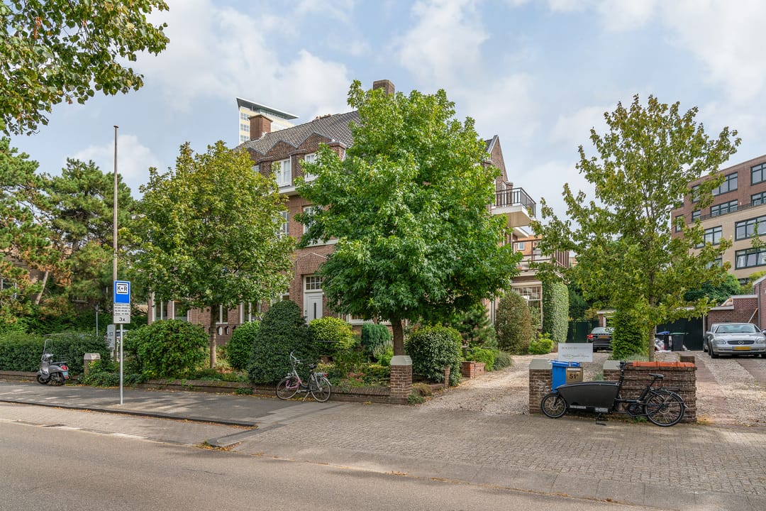 Foto 43 van Eisenhowerlaan 51-A