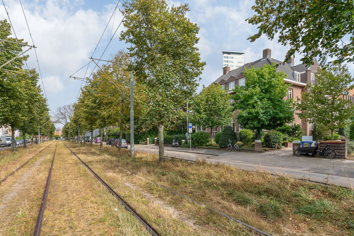 Foto 44 van Eisenhowerlaan 51-A