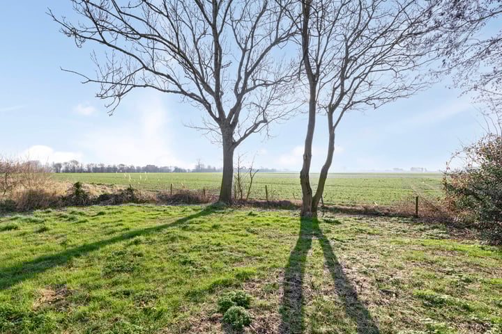 Foto 2 van Oostweg 7