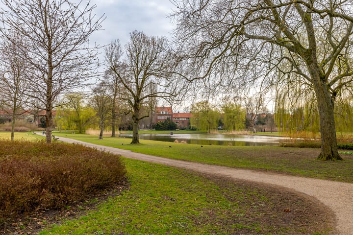 Foto 43 van Henk Cornelisstraat 21