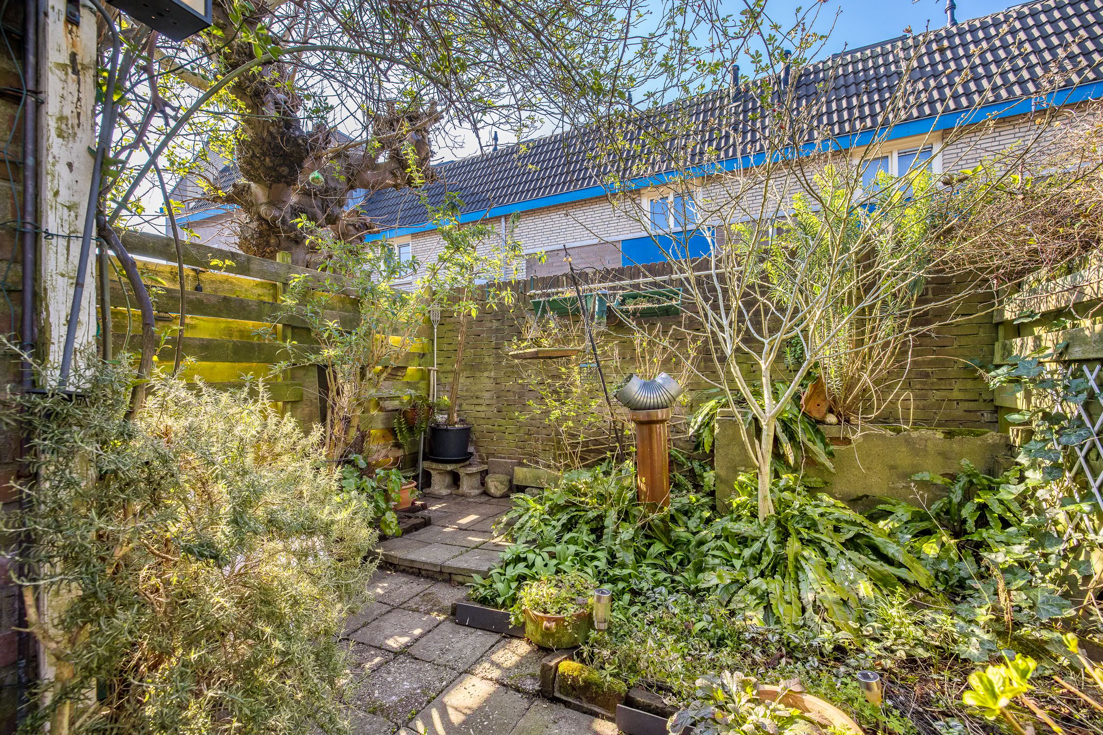 Foto 33 van Bloemstraat 87