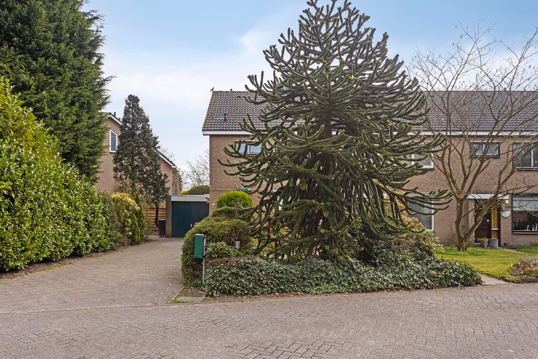 Foto 31 van Vivaldistraat 1