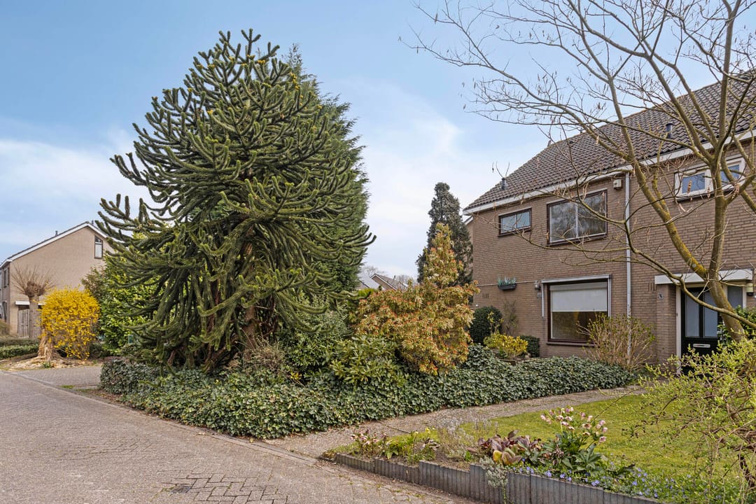 Foto 32 van Vivaldistraat 1