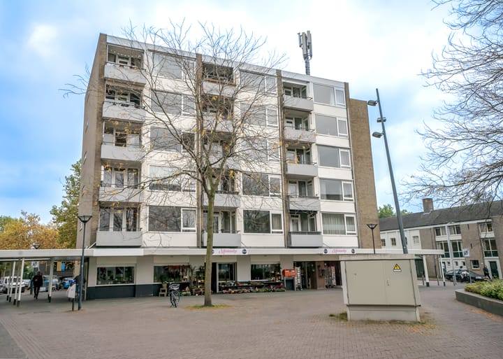 Foto 21 van Mgr. Leijtenstraat 22