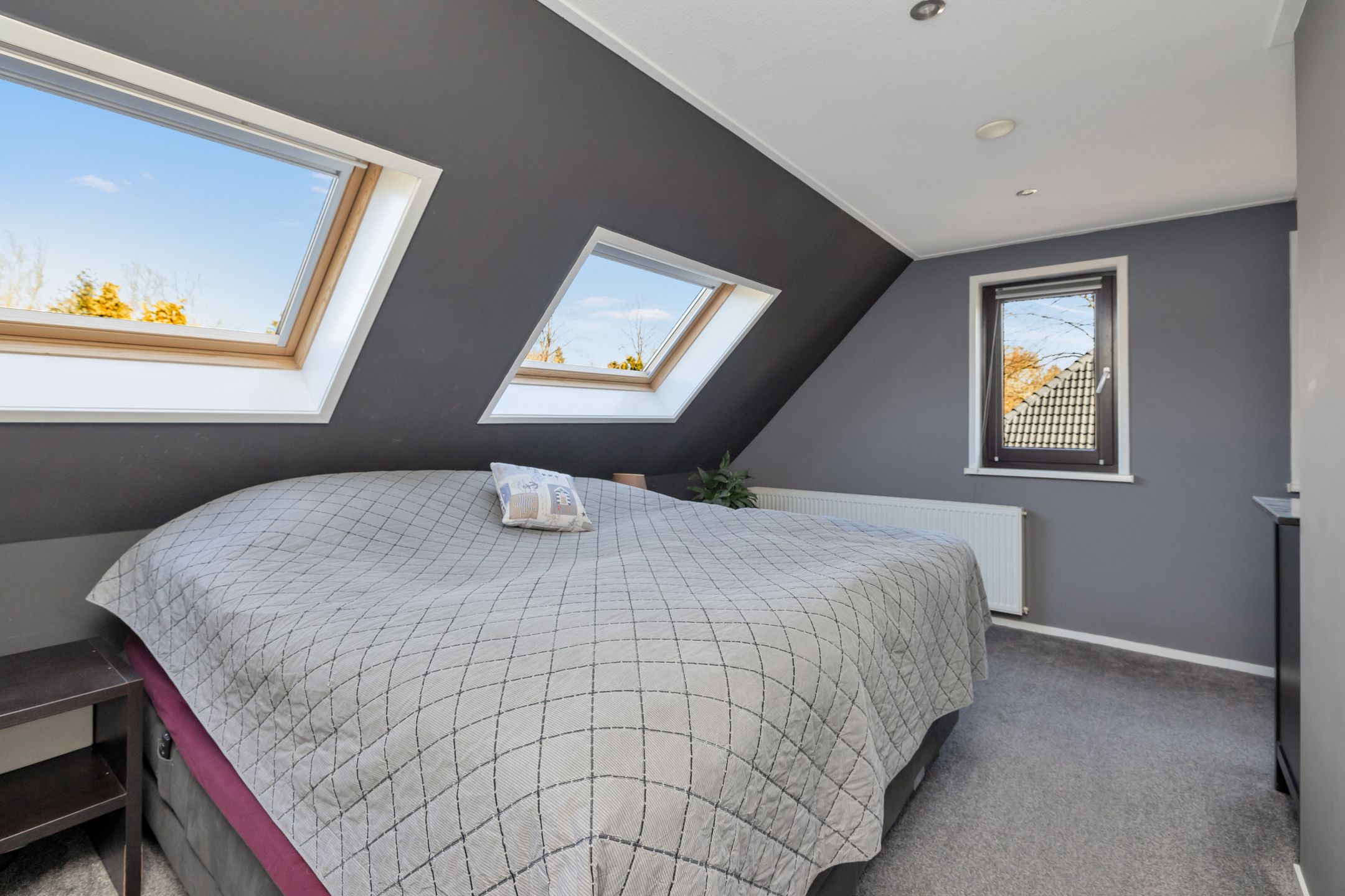 Foto 42 van Zoom 13 3