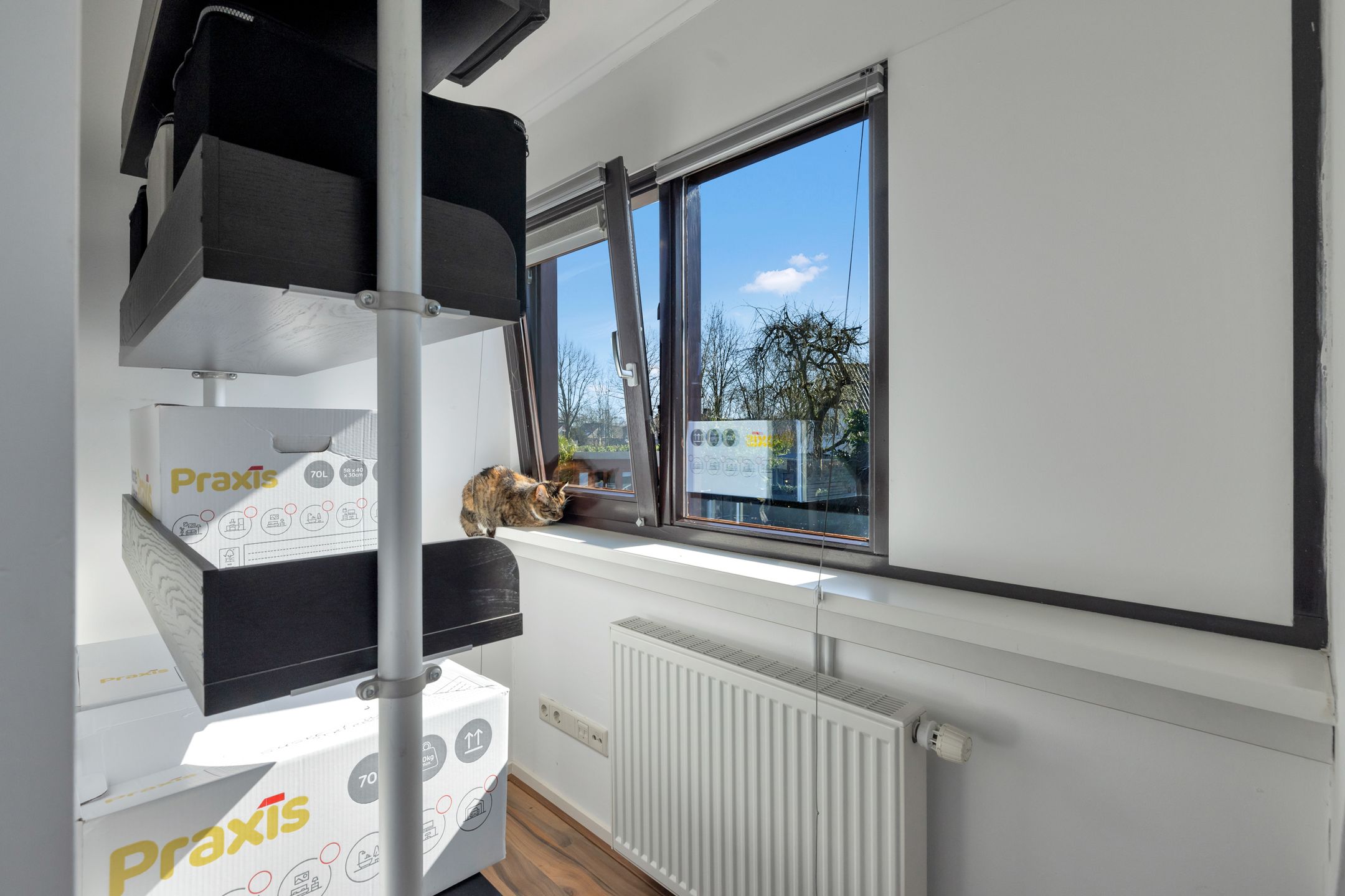 Foto 54 van Zoom 13 3