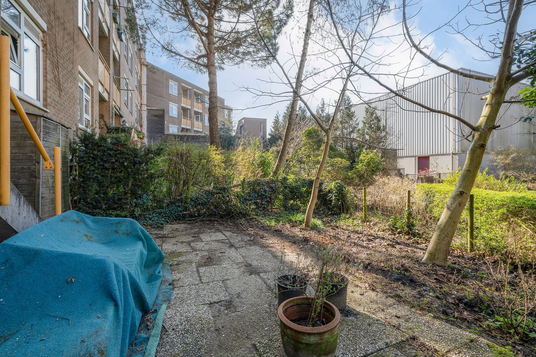 Foto 15 van Czaar Peterstraat 9-A